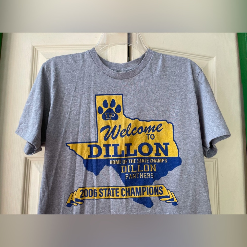 Gray Dillon Panthers Graphic T-Shirt - Picture 3 of 6